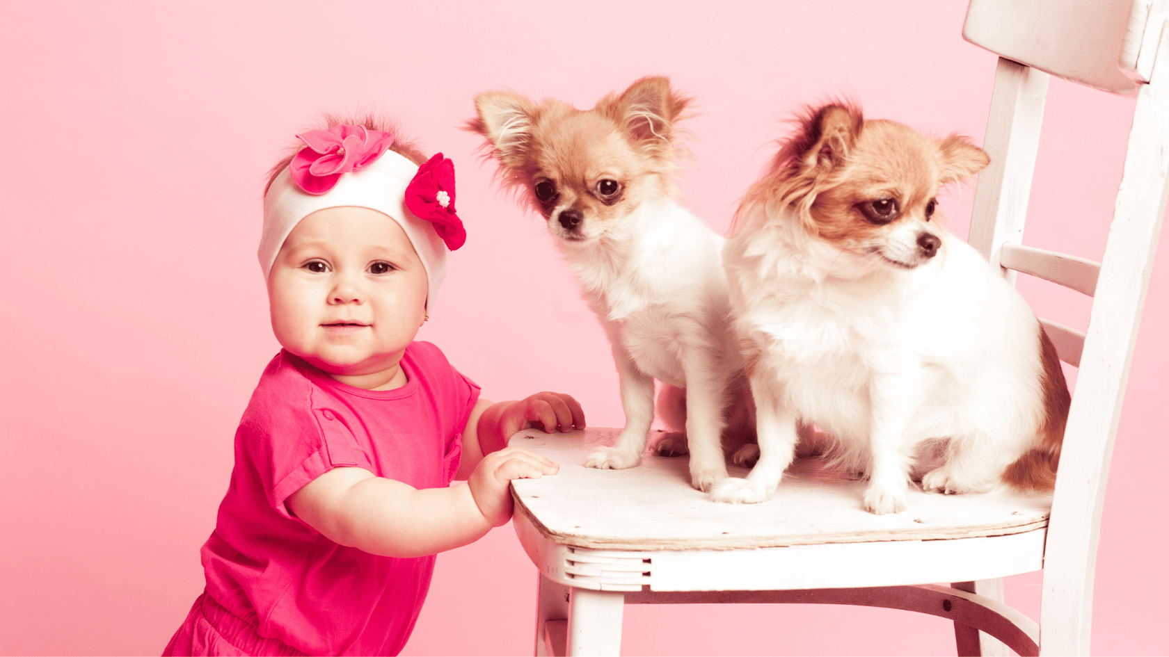 Hunde und Kinder: 8 Tipps für eine harmonische Beziehung